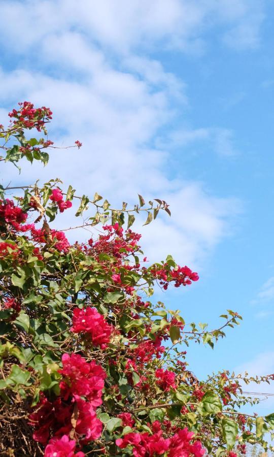 ريبوسْتو B&B Casanera المظهر الخارجي الصورة