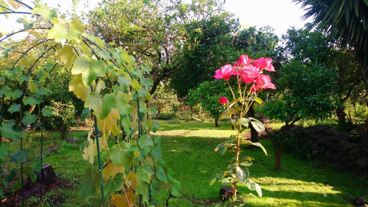 ريبوسْتو B&B Casanera المظهر الخارجي الصورة