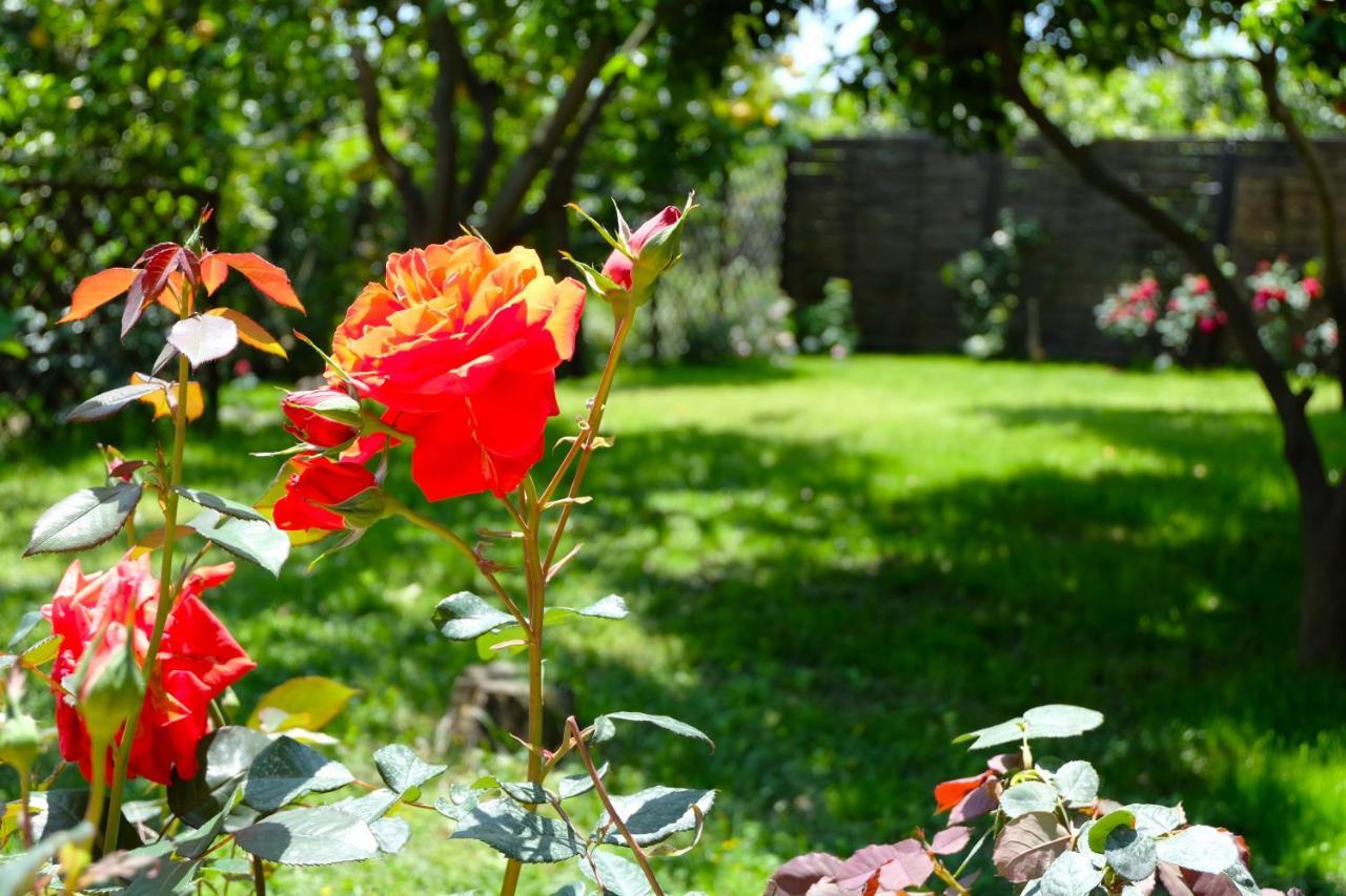ريبوسْتو B&B Casanera المظهر الخارجي الصورة