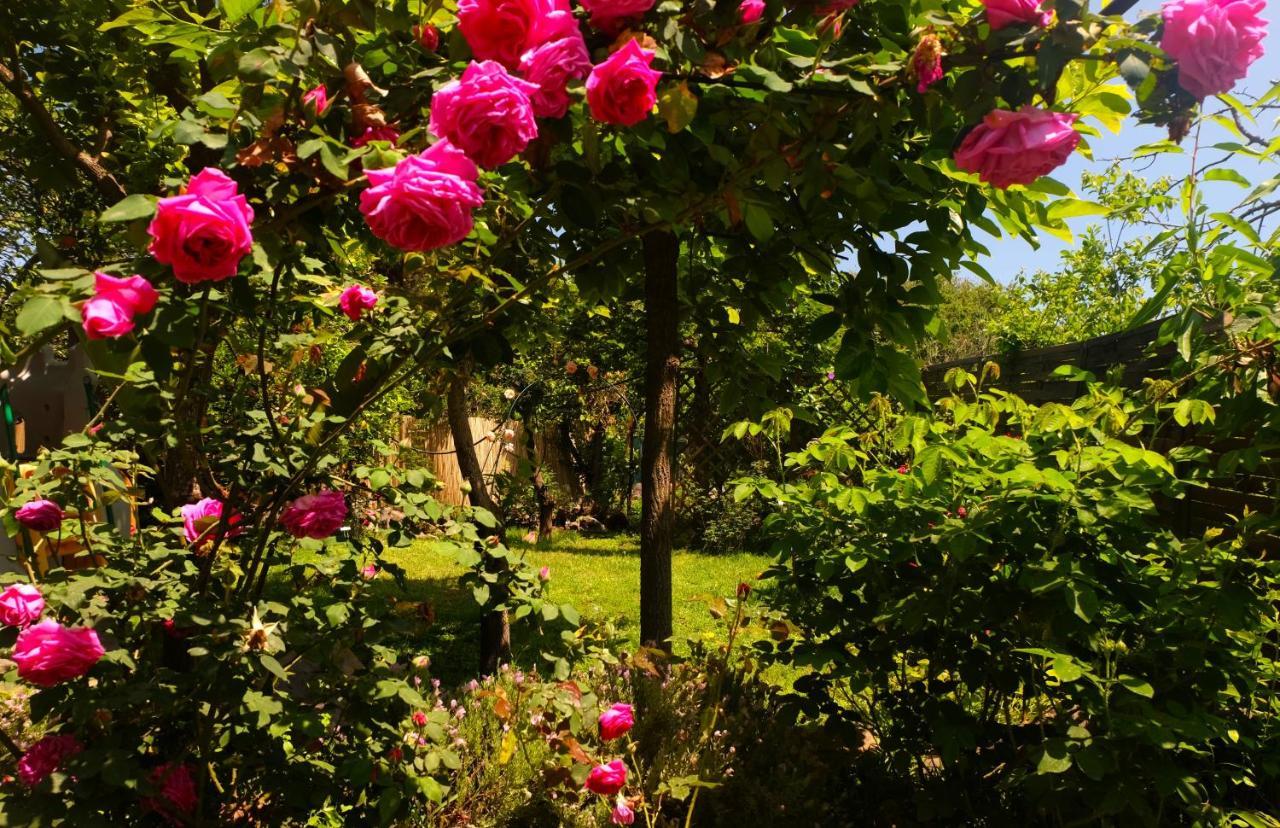 ريبوسْتو B&B Casanera المظهر الخارجي الصورة